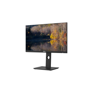 Dahua Monitor 24" - LM24-P301A